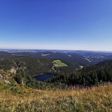 Fewo 1 - Residenz Schauinsland - Mit Sauna, E-Ladestation, Todtnauberg, Bei Feldberg Exteriér fotografie