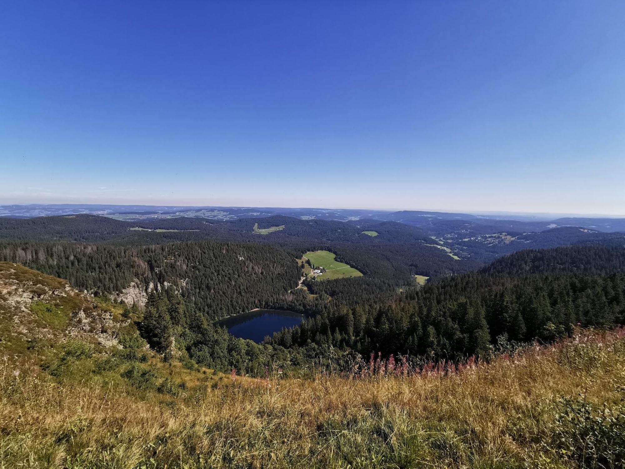 Fewo 1 - Residenz Schauinsland - Mit Sauna, E-Ladestation, Todtnauberg, Bei Feldberg Exteriér fotografie