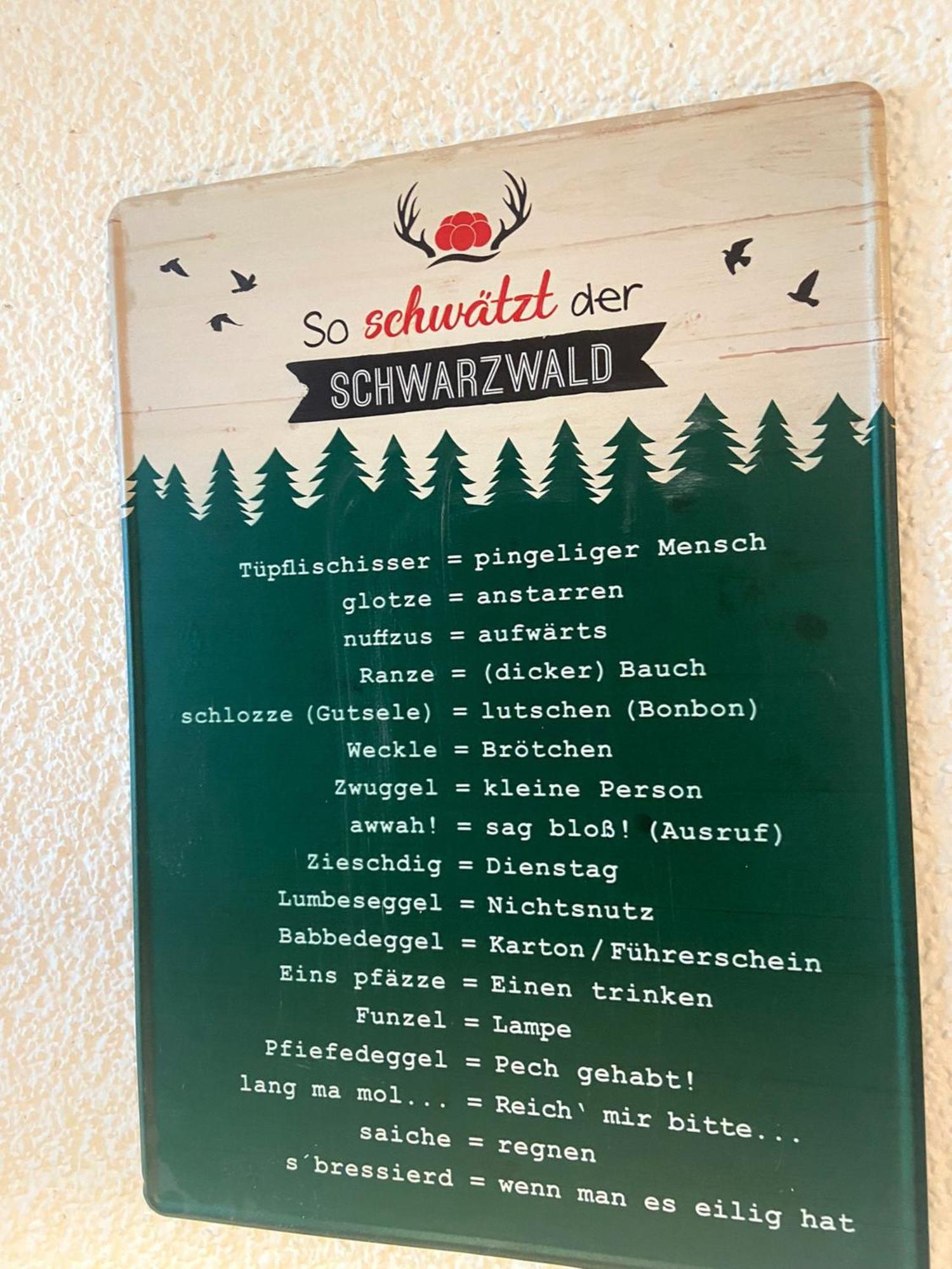 Fewo 1 - Residenz Schauinsland - Mit Sauna, E-Ladestation, Todtnauberg, Bei Feldberg Exteriér fotografie